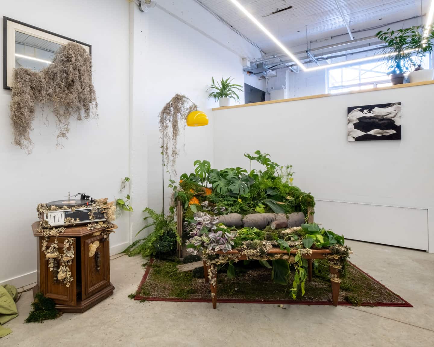 Peculiar Movements/Green Junctions at NAMARA projects